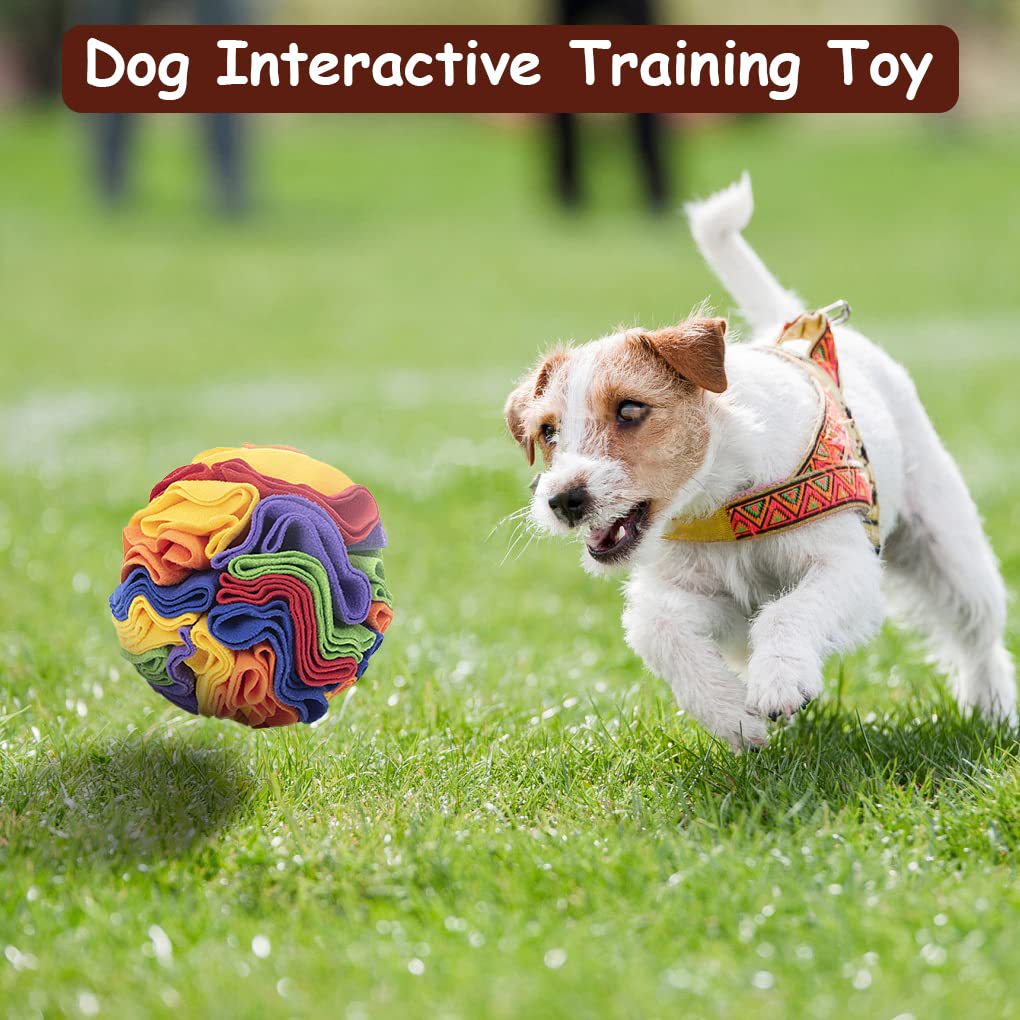 Cross-border hot selling pet sniffing pad dog sniffing ball pet sniffing snack ball pet toy rainbow ball