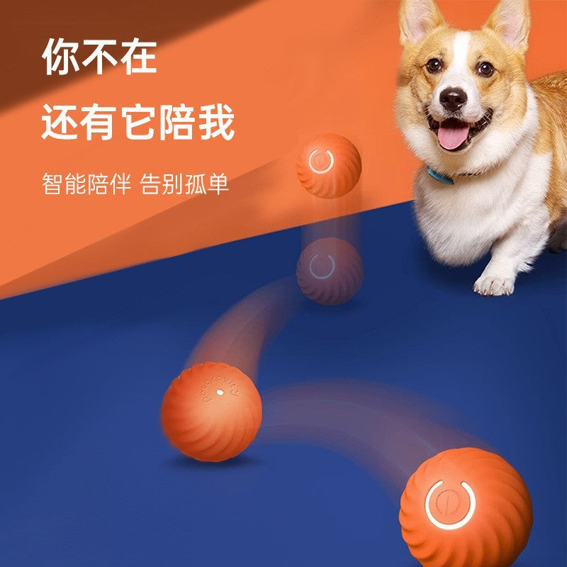 Gravitational jumping ball pet dog toy ball automatic dog amusing ball bite-resistant ball dog amusing artifact self-entertainment ball