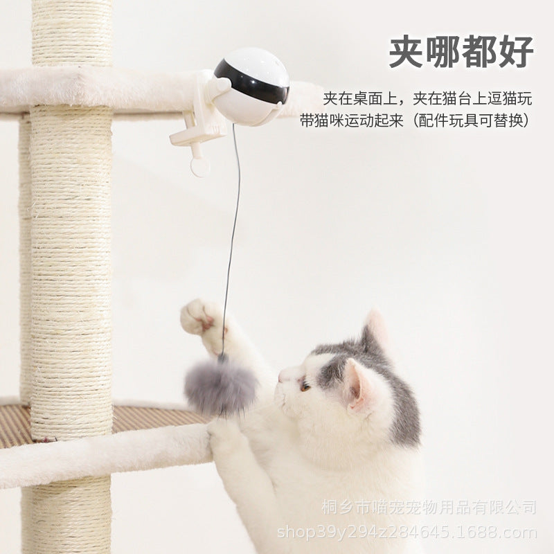 Amazon's new electric cat toy electric lifting ball self-entertaining cat toy interactive educational pet supplies