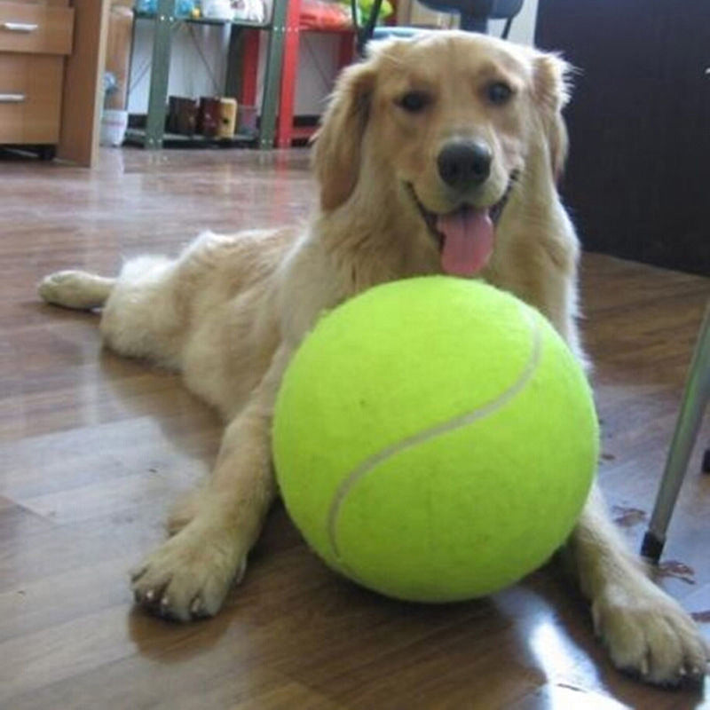 Big Signature Tennis 24cm Inflatable Tennis Tennis Pet Toy Activity Gift 9.5 Inch Pet Dog Chewing Toy