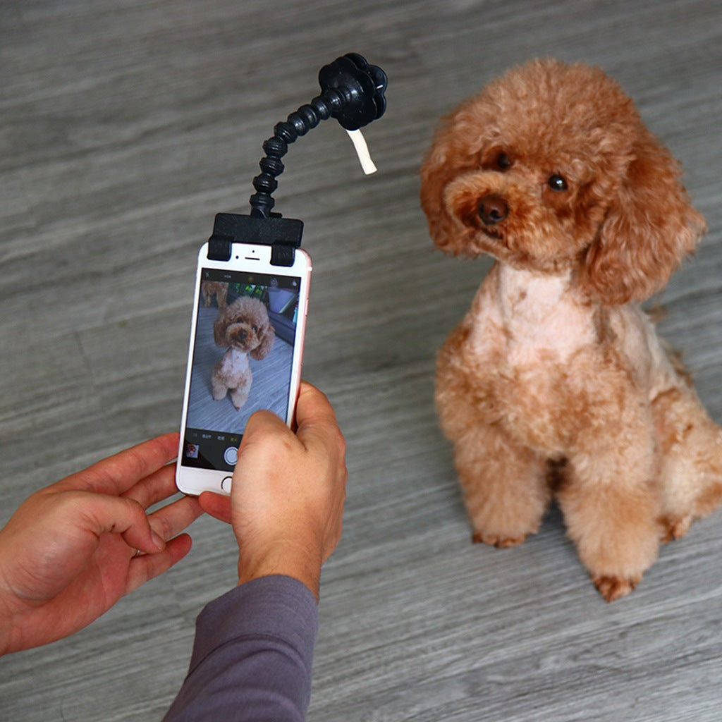 The same style as Douyin, pet selfie artifact, dog looking at the camera, selfie stick, mobile phone holder, pet toy supplies wholesale