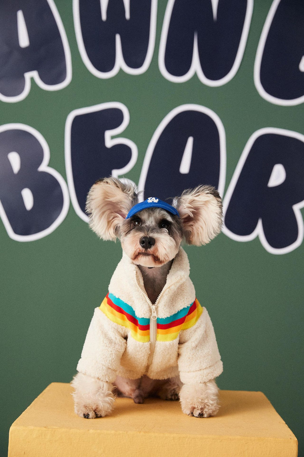 Cross-border foreign trade dropshipping dog clothes autumn and winter trendy Teddy Schnauzer Bichon pet lamb wool coat