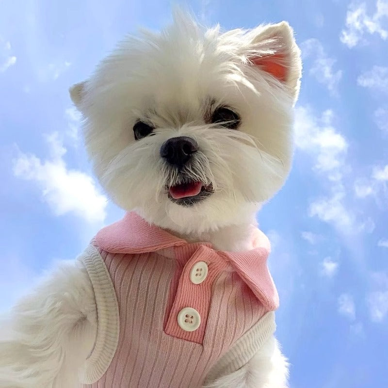 Summer thin dog clothes lapel T-shirt Teddy Bichon Pomeranian small dog cat vest outdoor pet clothes