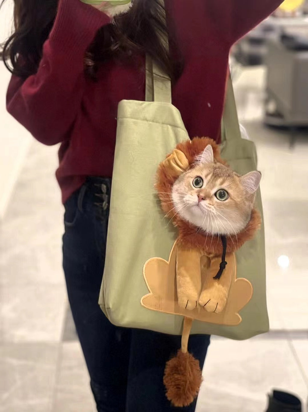 New small lion-shaped shoulder bag with exposed head Cat and dog small pet canvas travel bag pet bag
