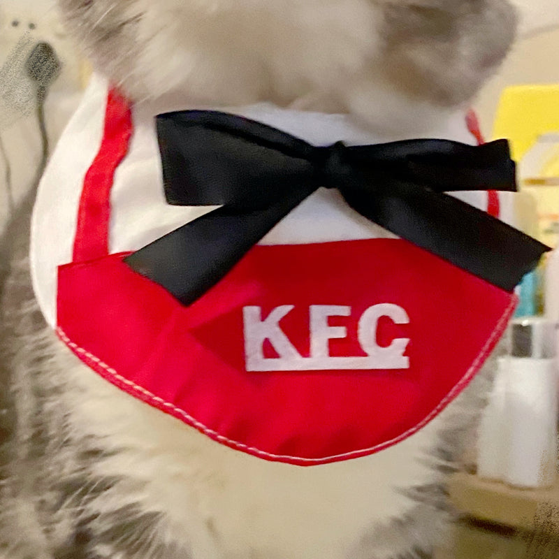 Funny Pet Cat Clothes McDonald's Cute Hat Bib Skirt Waiter British Shorthair American Shorthair Cat Transformation Costume