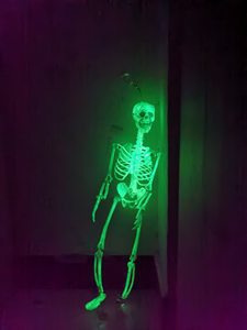 Cross-border Halloween haunted house props human skeleton mummy skeleton skeleton skeleton secret room skeleton bone decoration
