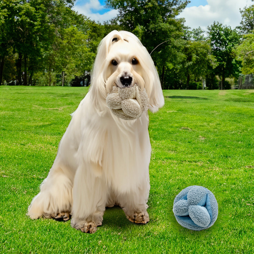 Cross-border new product Squeaky Snuffle Ball Nose Ball Pet Dog Chewing Squeaky Plush Toy