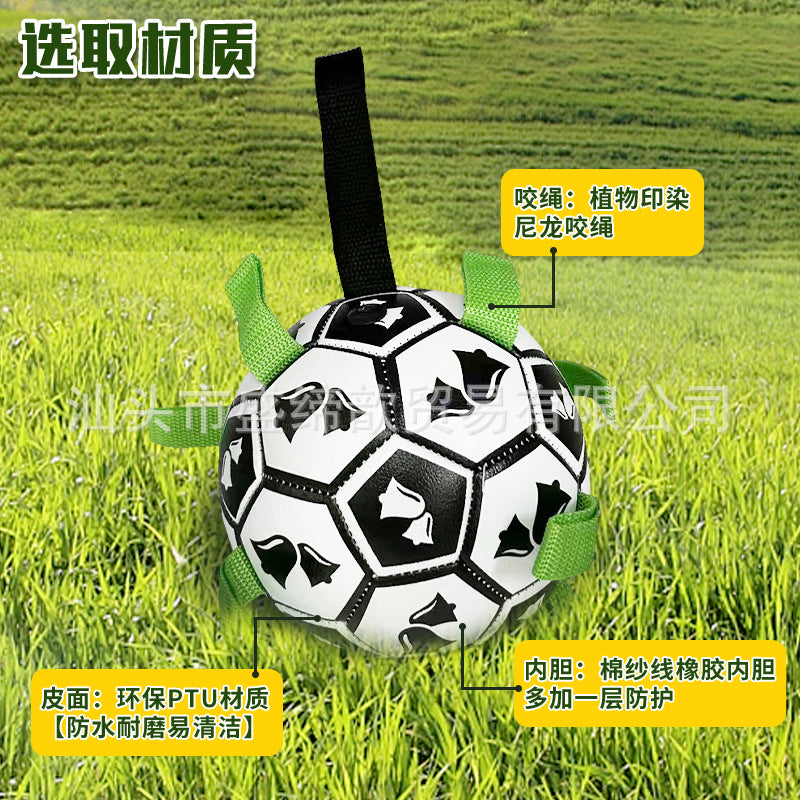 Cross-border Amazon pet dog football toy bite-resistant grinding teeth outdoor training dog walking ball boredom-relieving interactive toy