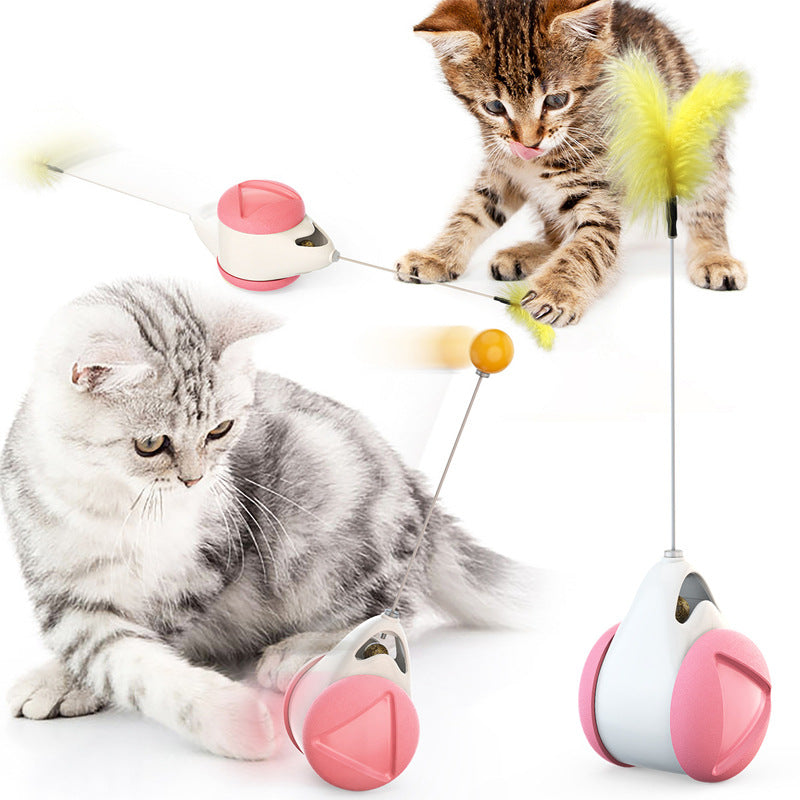 Pet supplies factory wholesale company's new hot models Amazon cat tumbler feather funny cat stick cat toy