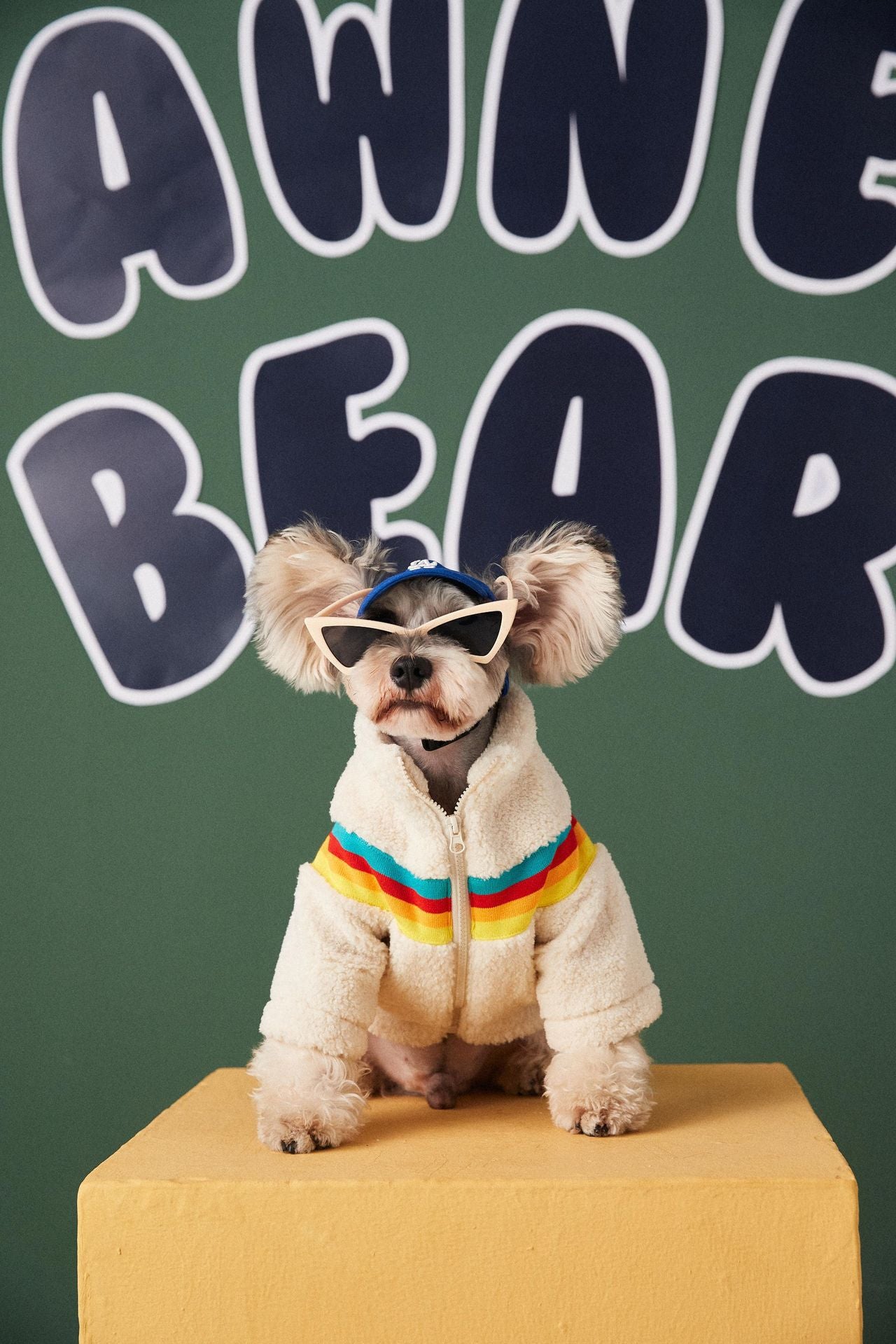 Cross-border foreign trade dropshipping dog clothes autumn and winter trendy Teddy Schnauzer Bichon pet lamb wool coat