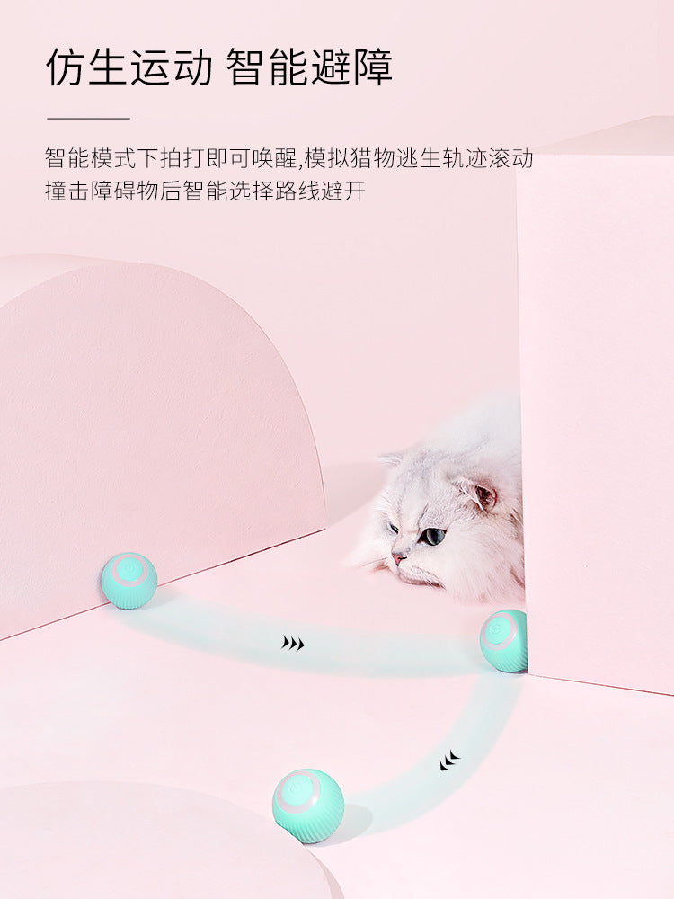 Cross-border gravity rolling ball cat toy, funny cat ball, tooth grinding and chewing resistance, self-pleasure and boredom relief rolling ball pet supplies