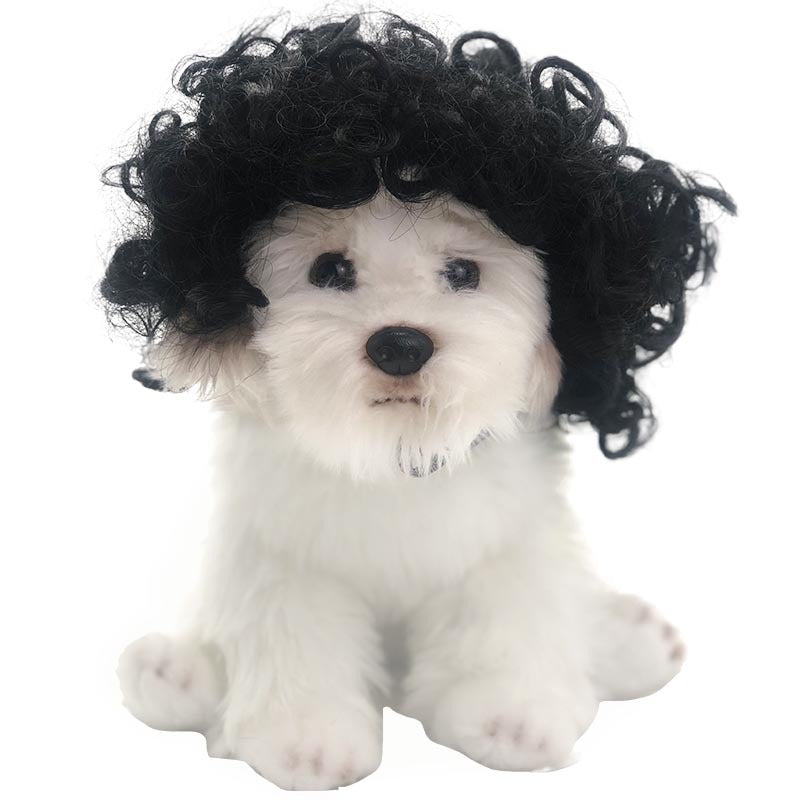 Factory direct sales cross-border pet hot-selling pet wigs dog wigs Halloween pet accessories curly hair straight hair