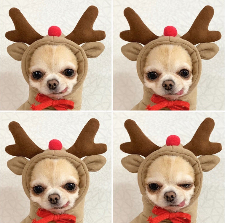 Fruit Transformation Dog Cat Small and Medium Dog Autumn and Winter Sweater Fleece Clothes Supplies Pet Teddy Fighting Manufactor