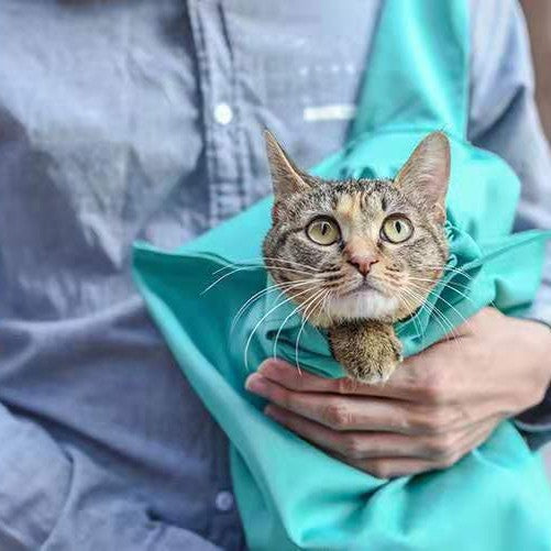 Amazon cross-border cat pet bag out of the one-shoulder crossbody backpack travel bag daily fashion portable one-shoulder