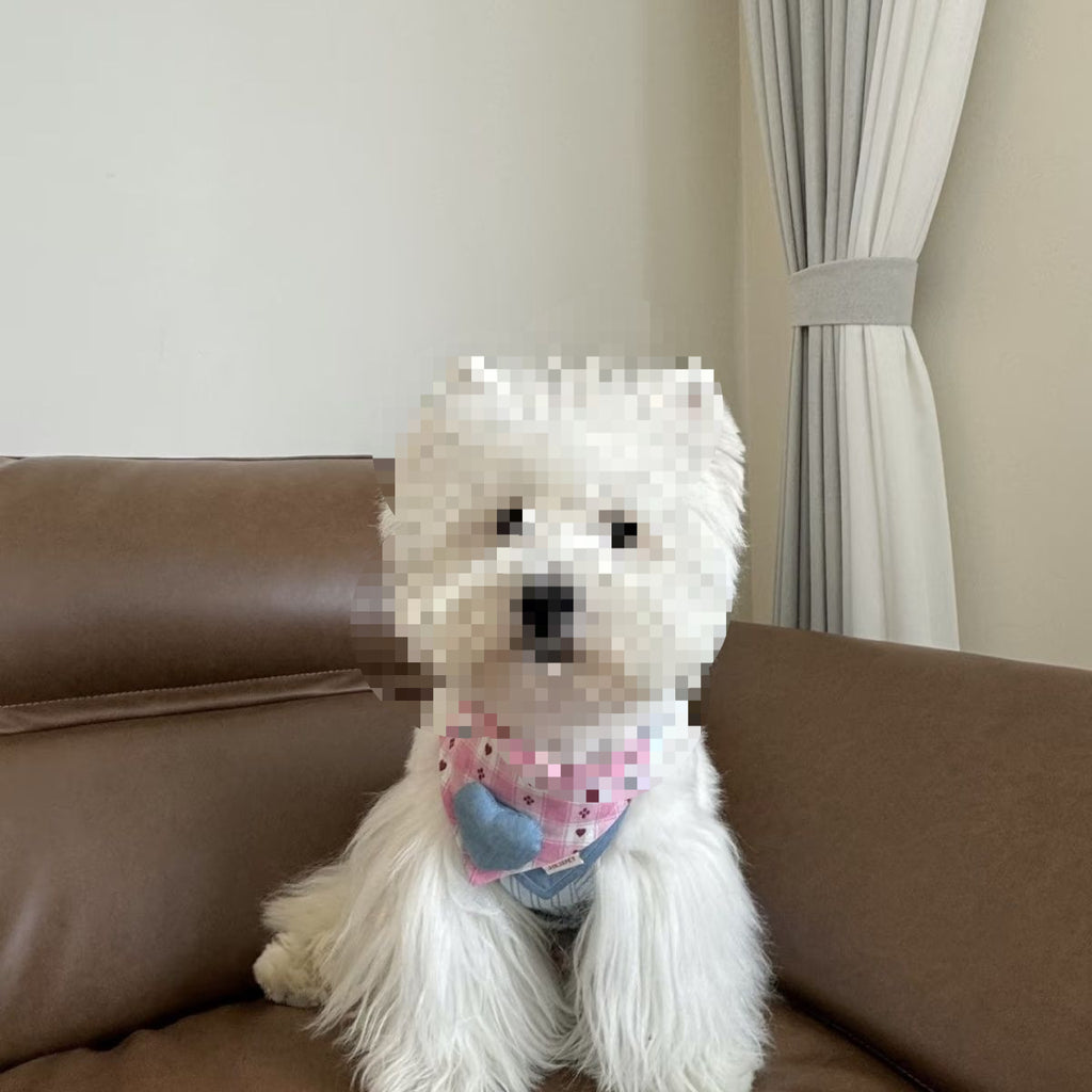 New pet bib adjustable double-sided dog triangular bandana bib pet clothes accessories bib