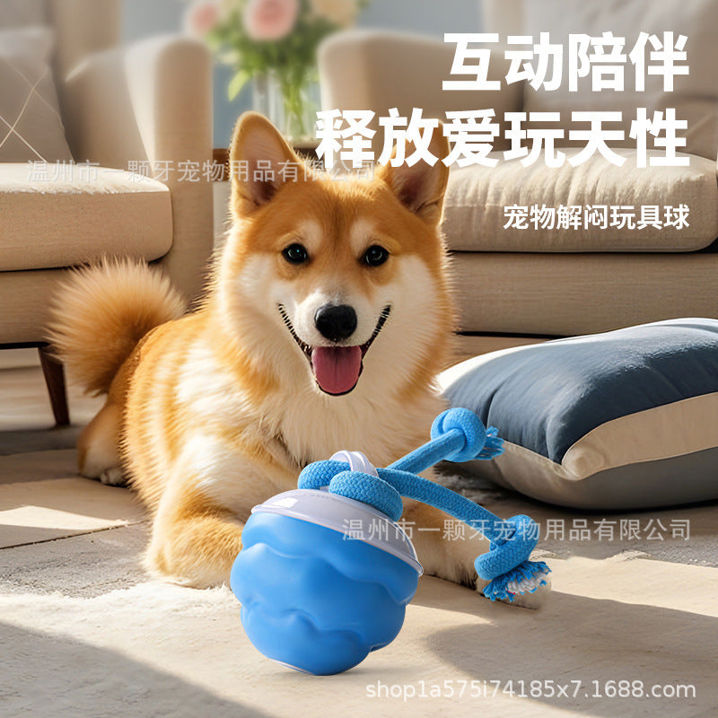 Cross-border pet smart rolling ball rolling ball electric dog boredom relief smart bite-resistant dog ball grinding toy
