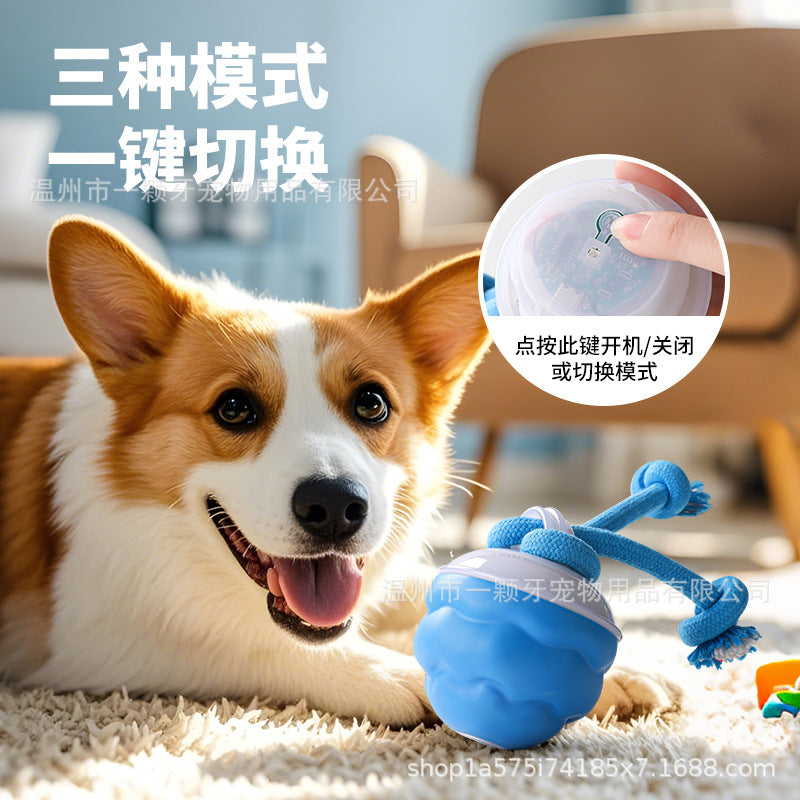 Cross-border pet smart rolling ball rolling ball electric dog boredom relief smart bite-resistant dog ball grinding toy