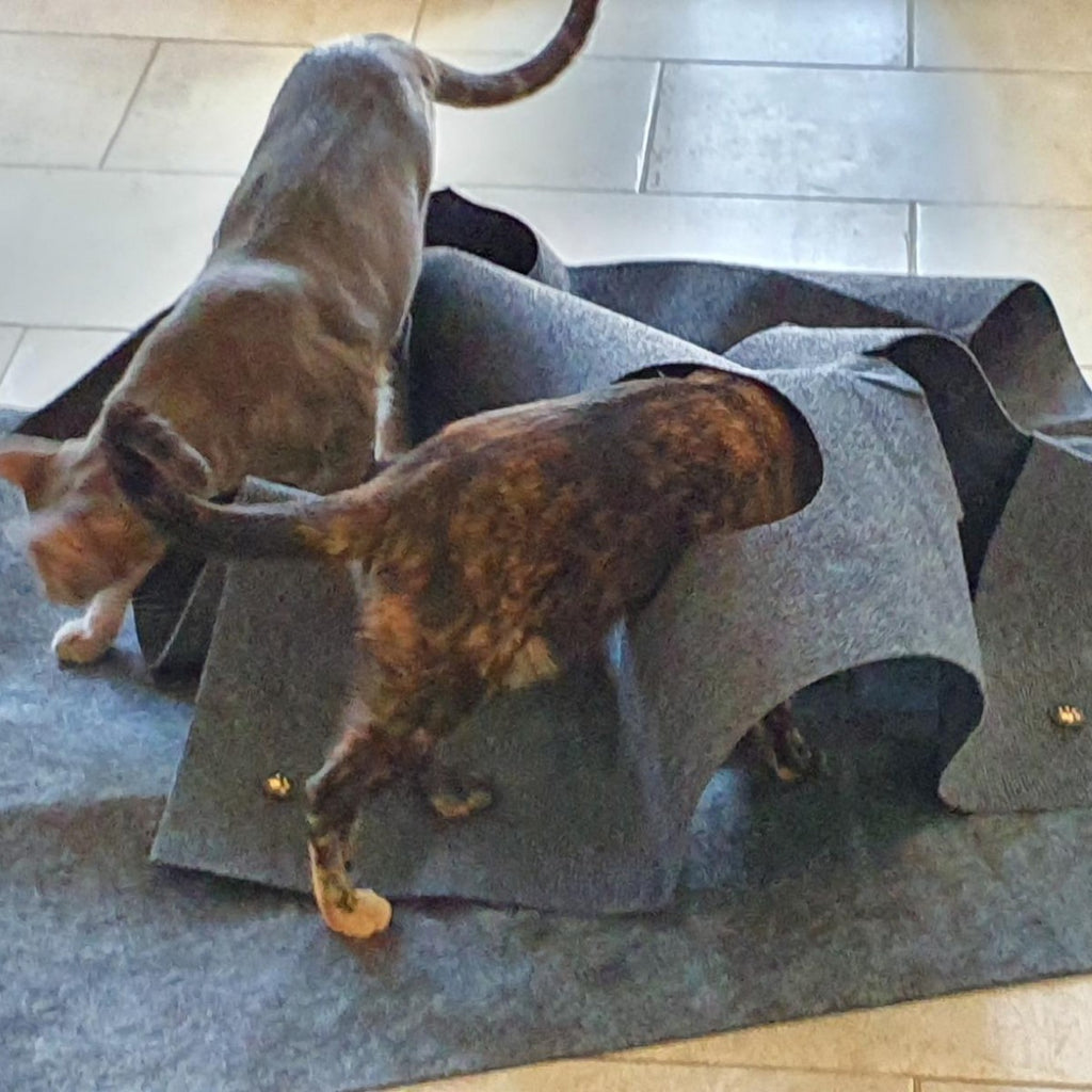 Pet cat hole blanket cat entertainment mat cat toy blanket cat play mat