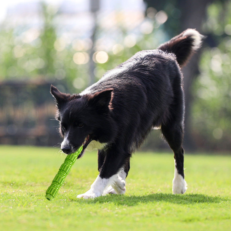 Pet Supplies Dog TPR Bite Stick Leaky Stick Grinding Teeth Cleaning Teeth Bite Interactive Toy Spot Wholesale Cross-border