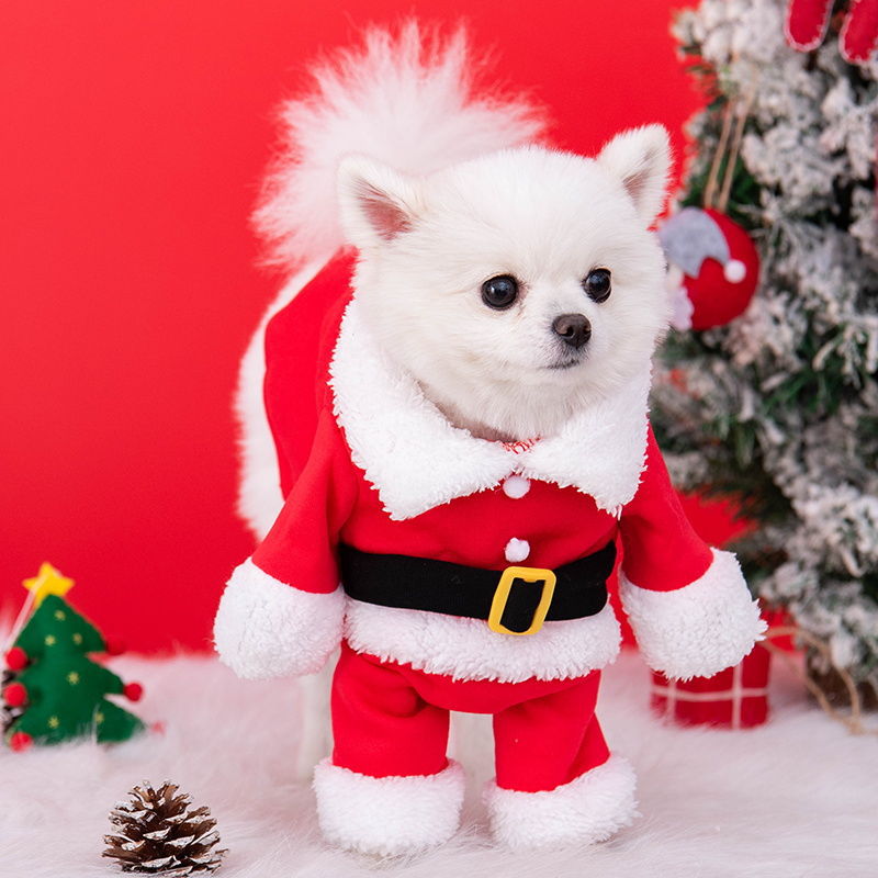 Dog Christmas clothes autumn and winter upright clothes pet cat transformation clothes Teddy Bichon small dog clothes wholesale