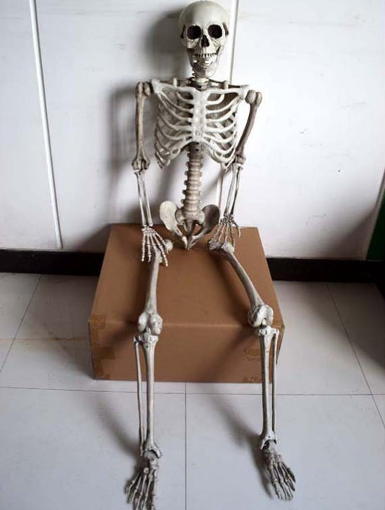 Cross-border Halloween haunted house props human skeleton mummy skeleton skeleton skeleton secret room skeleton bone decoration