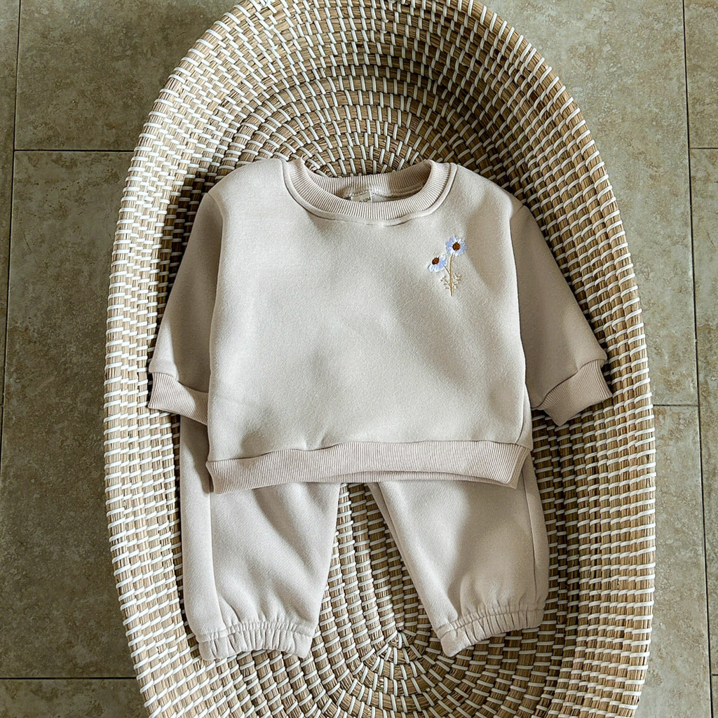 INS Korean version of the winter newborn floral embroidery plus velvet long-sleeved two-piece children's baby round neck sweater suit