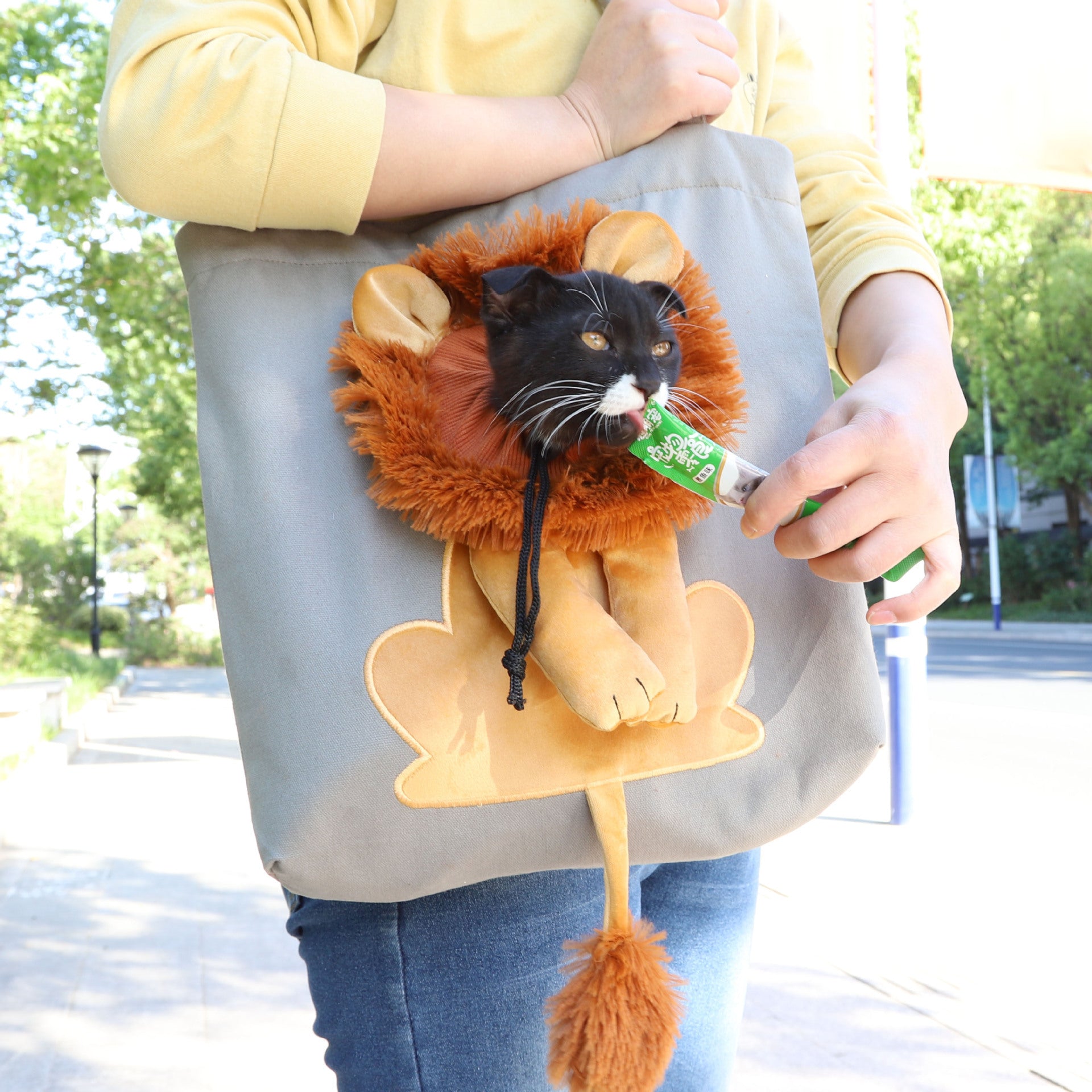 New small lion-shaped shoulder bag with exposed head Cat and dog small pet canvas travel bag pet bag