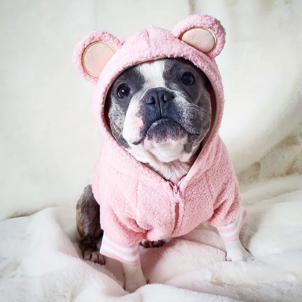 French Doll pet trendy brand ins hot style dog plus velvet warm standing ear sweatshirt autumn and winter sports dog clothes