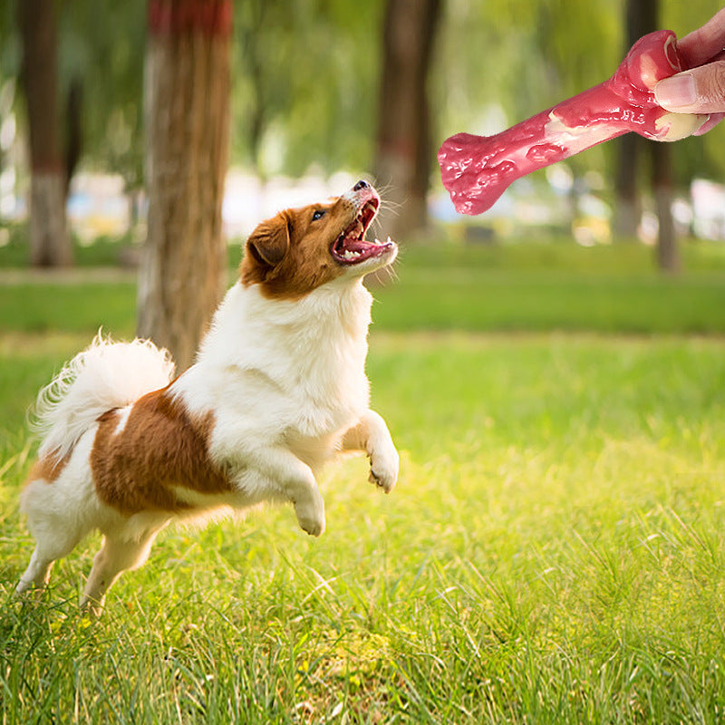 Amazon new dog chewing sound toy teeth grinding rubber simulation small bone leaking food pet toy