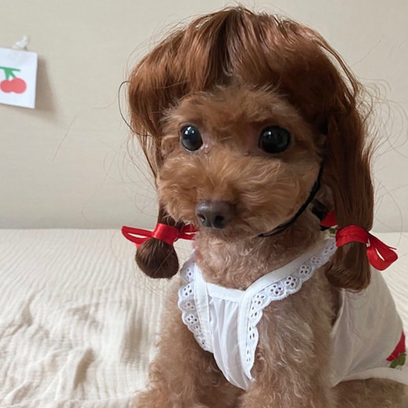 Factory direct sales cross-border pet hot-selling pet wigs dog wigs Halloween pet accessories curly hair straight hair