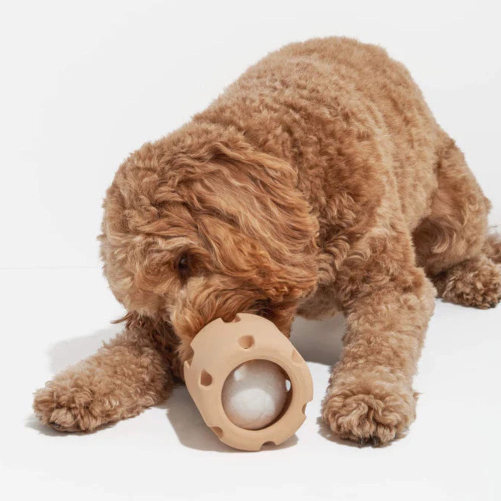 Pet educational toys dog tennis cup rubber chew resistant toy tpr