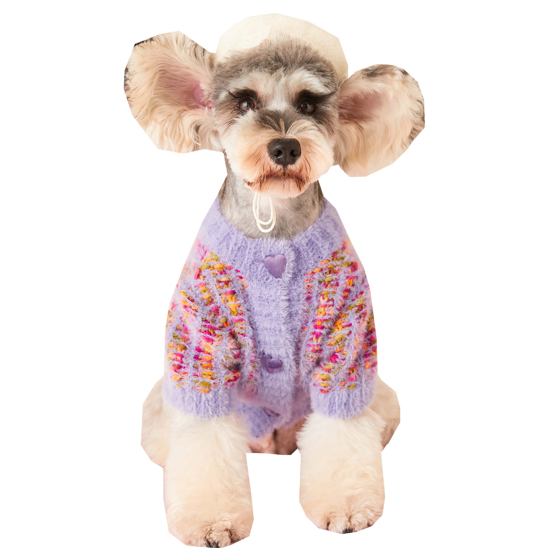 Dog clothes autumn and winter female dog colorful sweater Teddy Schnauzer Corgi Bichon Shiba Inu pet cardigan