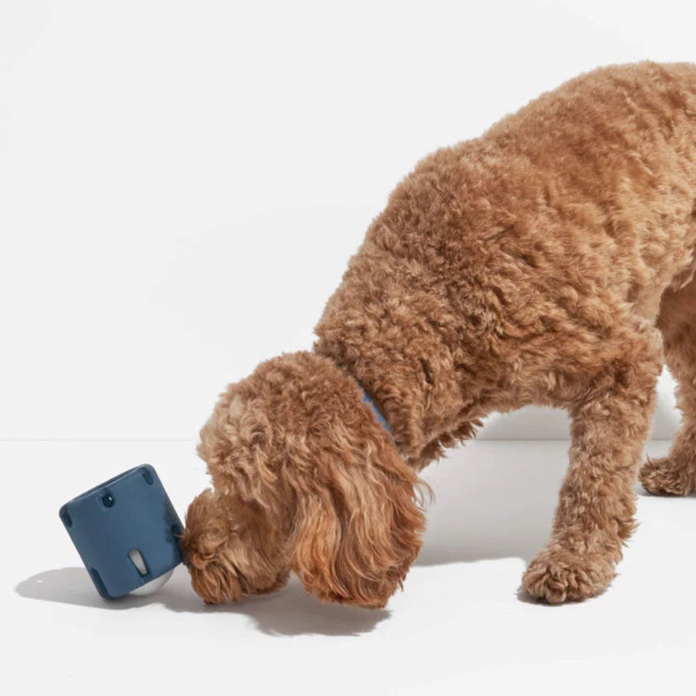 Pet educational toys dog tennis cup rubber chew resistant toy tpr