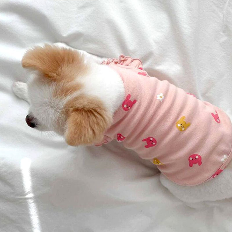 Korean ins cat clothes spring and summer thin anti-hair loss puppet kitten cute pet dog cat clothes