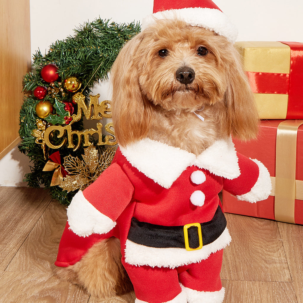 Santa Claus Dog Pet Clothes Autumn Winter Cat Pet Clothes Teddy Small Dog Dress Up Manufactor Wholesale
