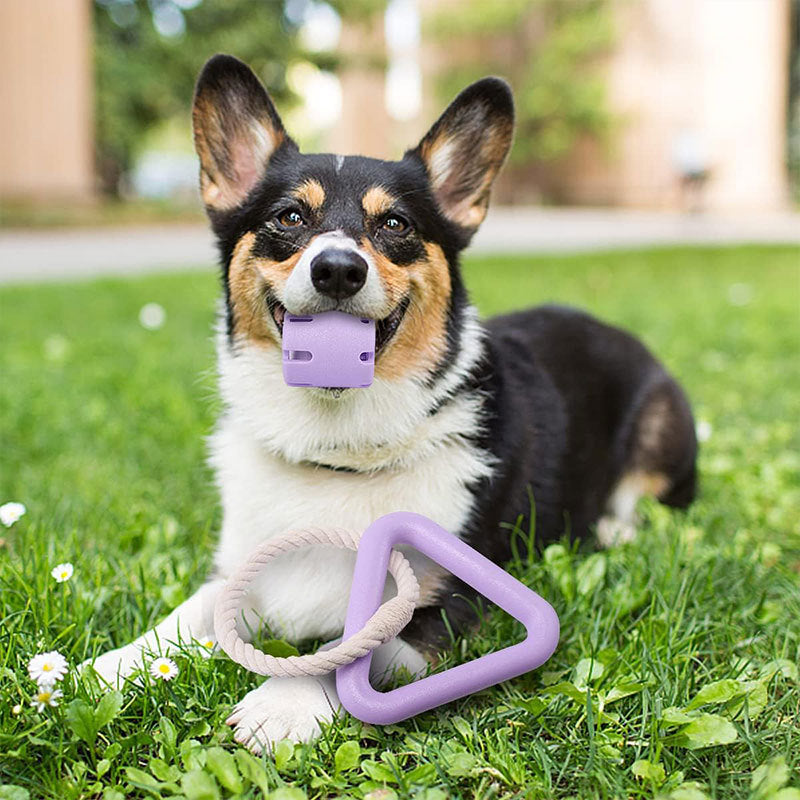 Dog Tennis Cup Cross-border Dog Interactive Chewing Toy Pet Tennis Cup Dog Teeth Grinding