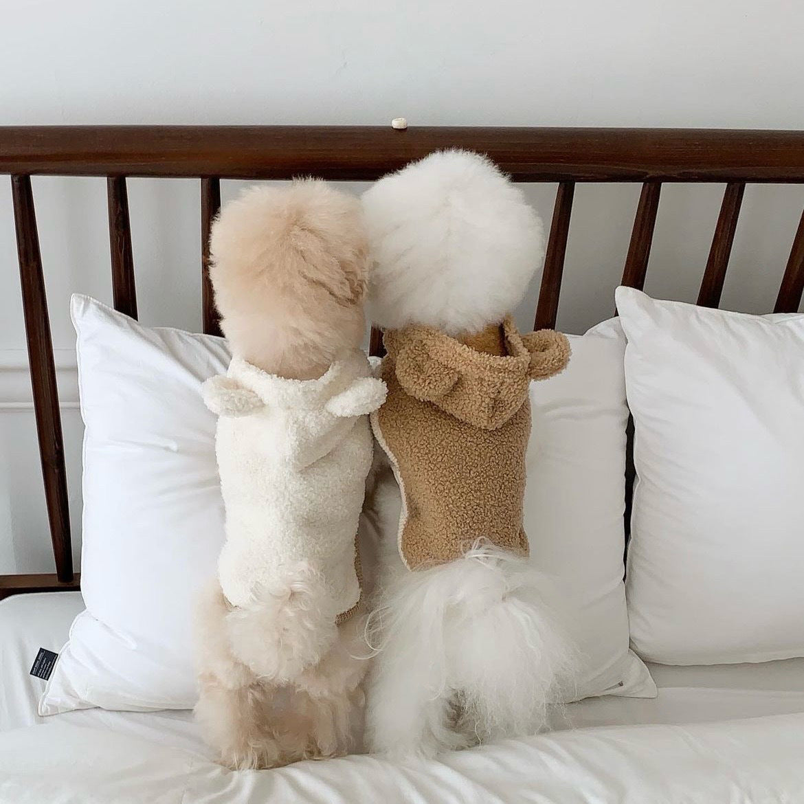 ins Korean warm pet clothes cloak shawl small and medium-sized dogs cat Teddy autumn and winter thick wholesale