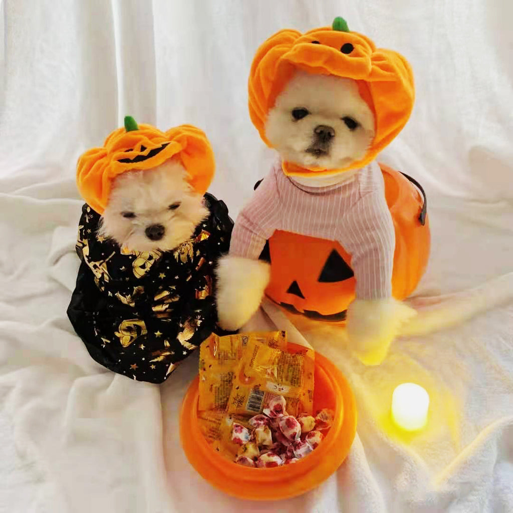 Pet cat dog pumpkin cat hat Halloween ghost festival decoration headdress supplies small medium and large dog Teddy French bulldog