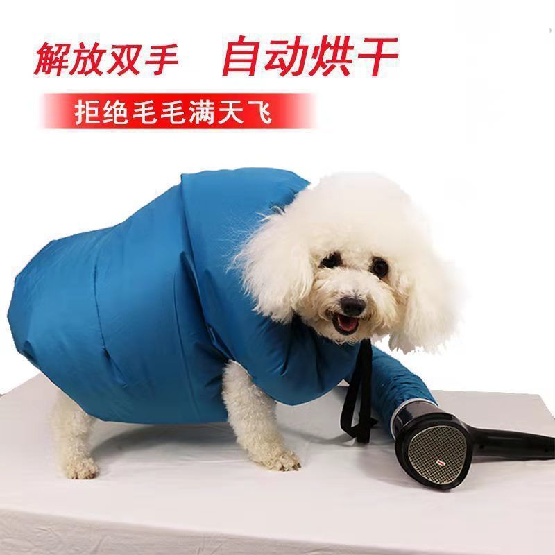 Pet drying box automatic drying bag Teddy Corgi cat hair dryer dog bath golden retriever silent hair blowing
