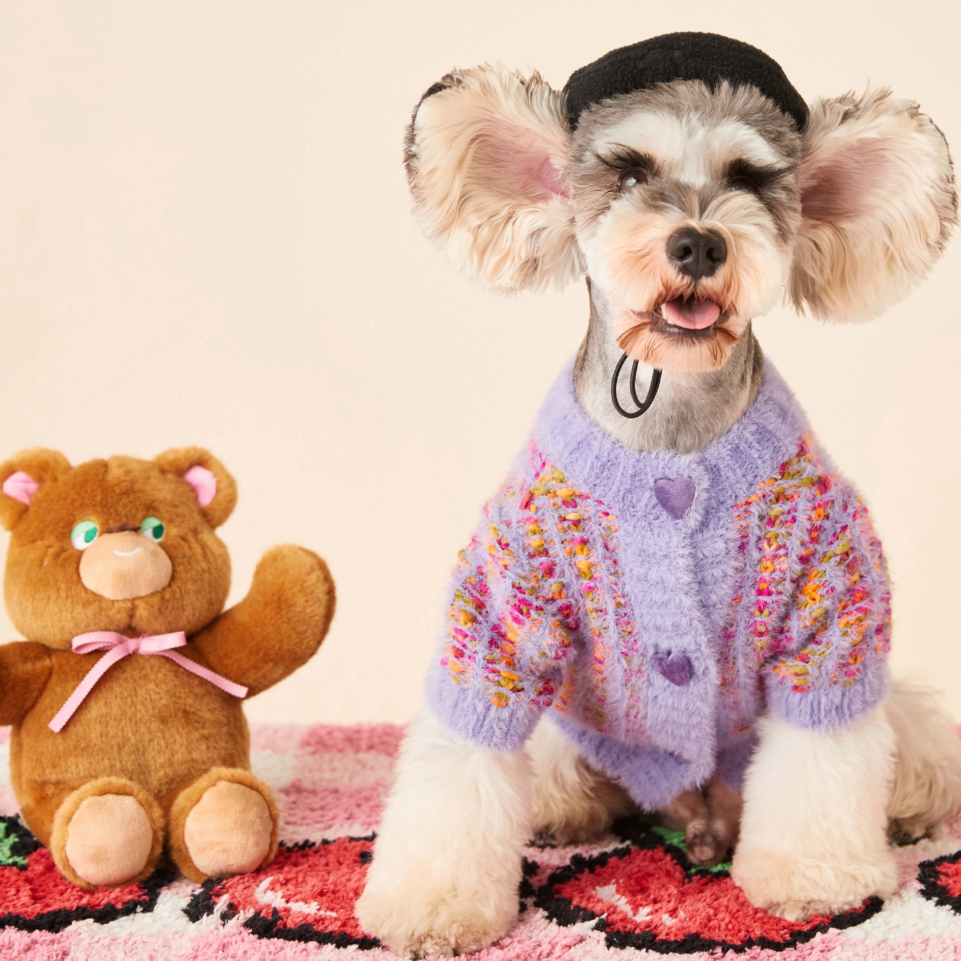 Dog clothes autumn and winter female dog colorful sweater Teddy Schnauzer Corgi Bichon Shiba Inu pet cardigan