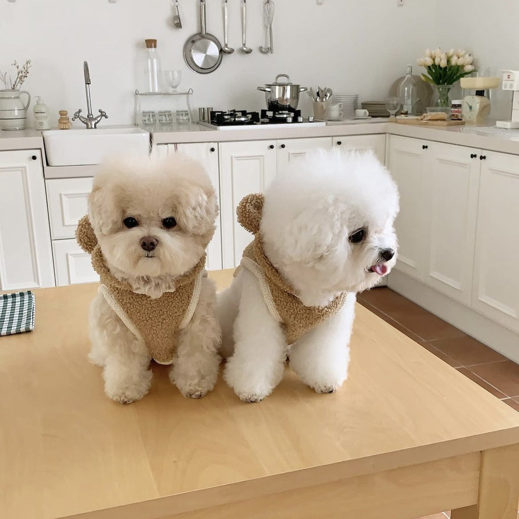 ins Korean warm pet clothes cloak shawl small and medium-sized dogs cat Teddy autumn and winter thick wholesale