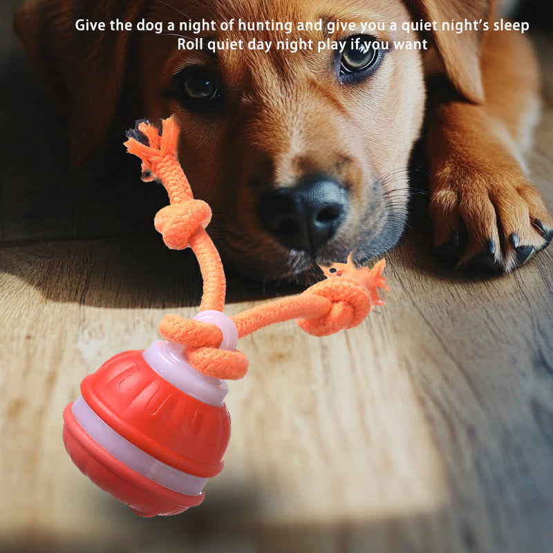Cross-border pet smart rolling ball electric dog boredom relief smart bite-resistant dog ball teething toy built-in bird call