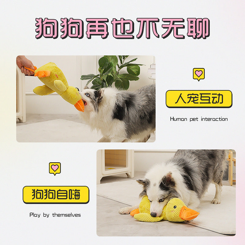 Plush dog toy that is resistant to chewing, teeth grinding, and making sounds for puppies to spend time alone to relieve boredom, Golden Retriever Corgi dog pet toy