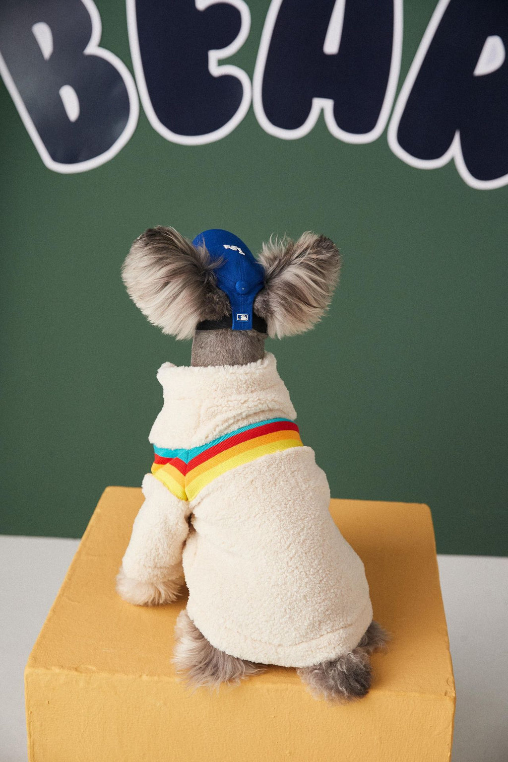 Cross-border foreign trade dropshipping dog clothes autumn and winter trendy Teddy Schnauzer Bichon pet lamb wool coat