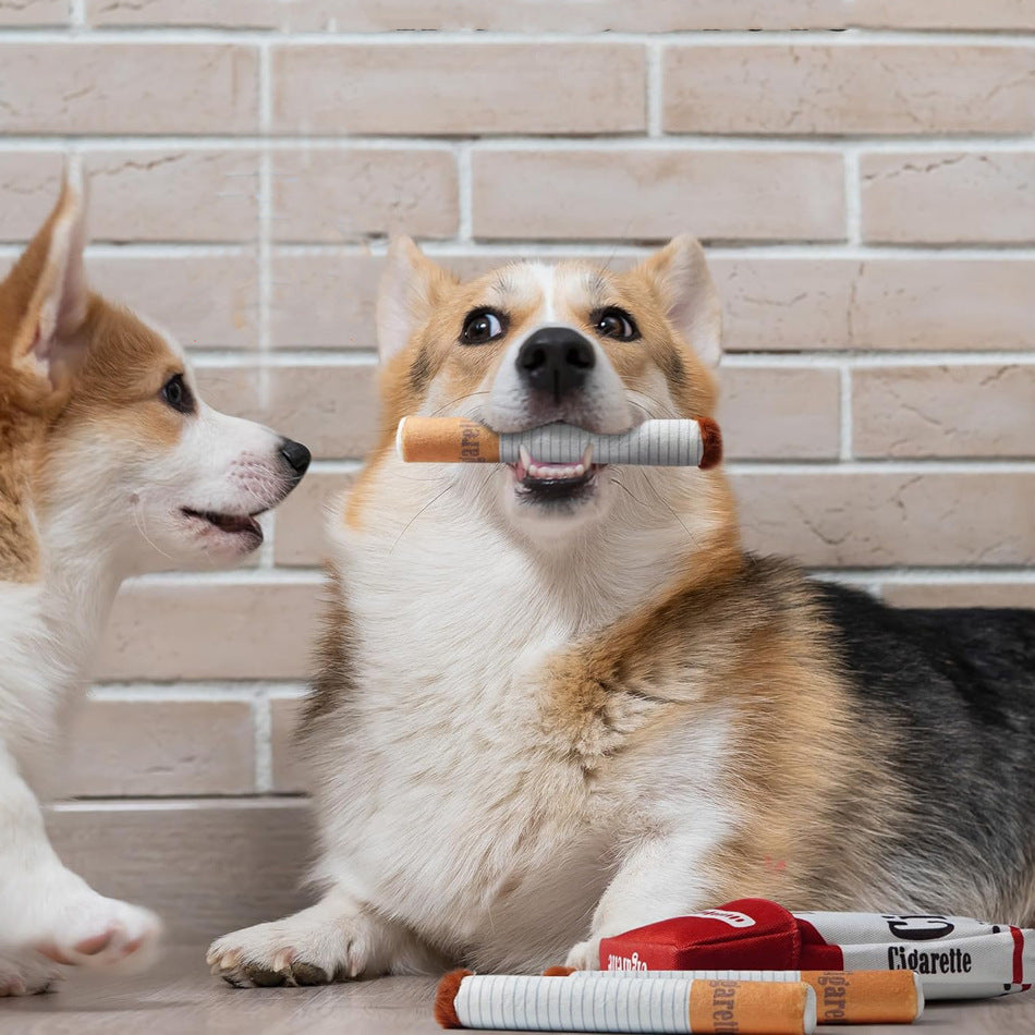 New cigarette box with sound pet toy chew-resistant molar plush toy dog toss doll wholesale