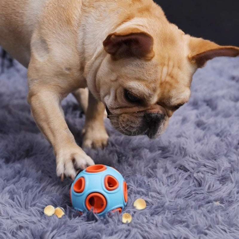 New anemone ball pet toy bell sound / luminous ball cat and dog toy bite resistant teeth interactive training
