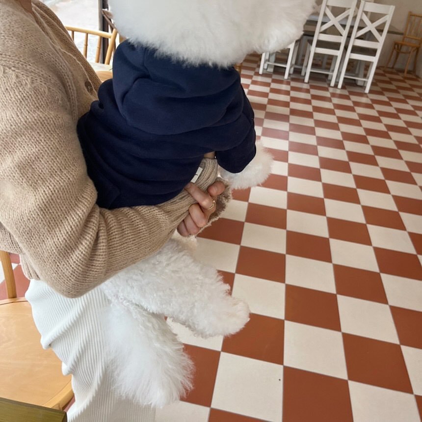 Autumn and winter hooded all-match plush sweatshirt Teddy Pomeranian Bichon Schnauzer pet dog cat small dog clothes