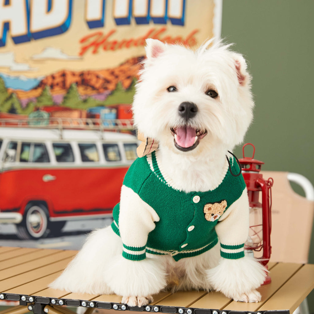 Clearance sale of dog clothes autumn and winter new style schnauzer, bichon, teddy, French bulldog handsome pet baseball uniform trend