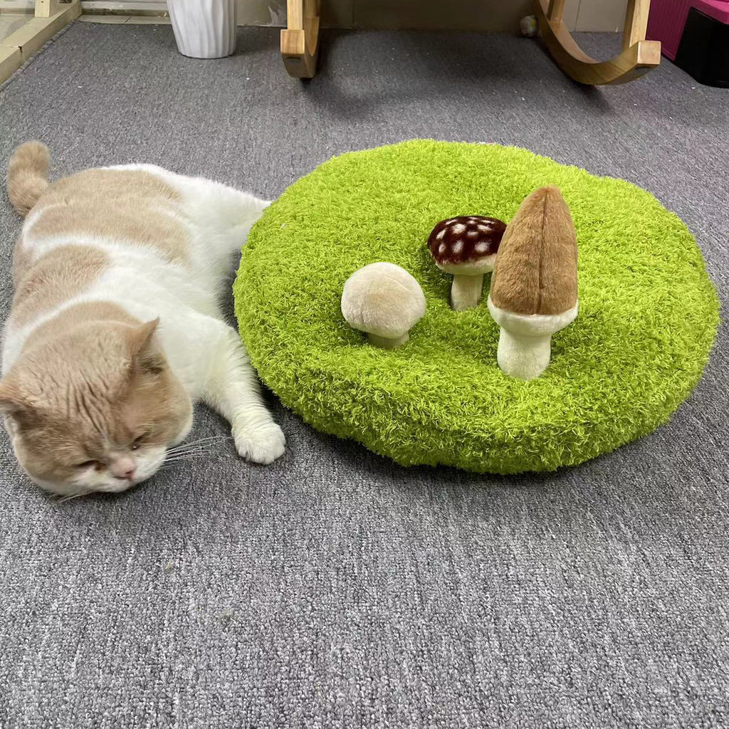 Cross-border hot selling pet mat cat bed puppy dog cat bed sleeping plush toy round bed four seasons universal soft