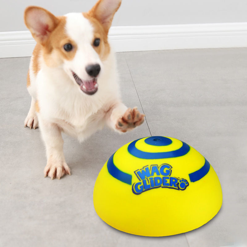 Cross-border dog toy teething resistant bite sound sliding disc pet cute pet anti-demolition home self-entertainment toy frisbee